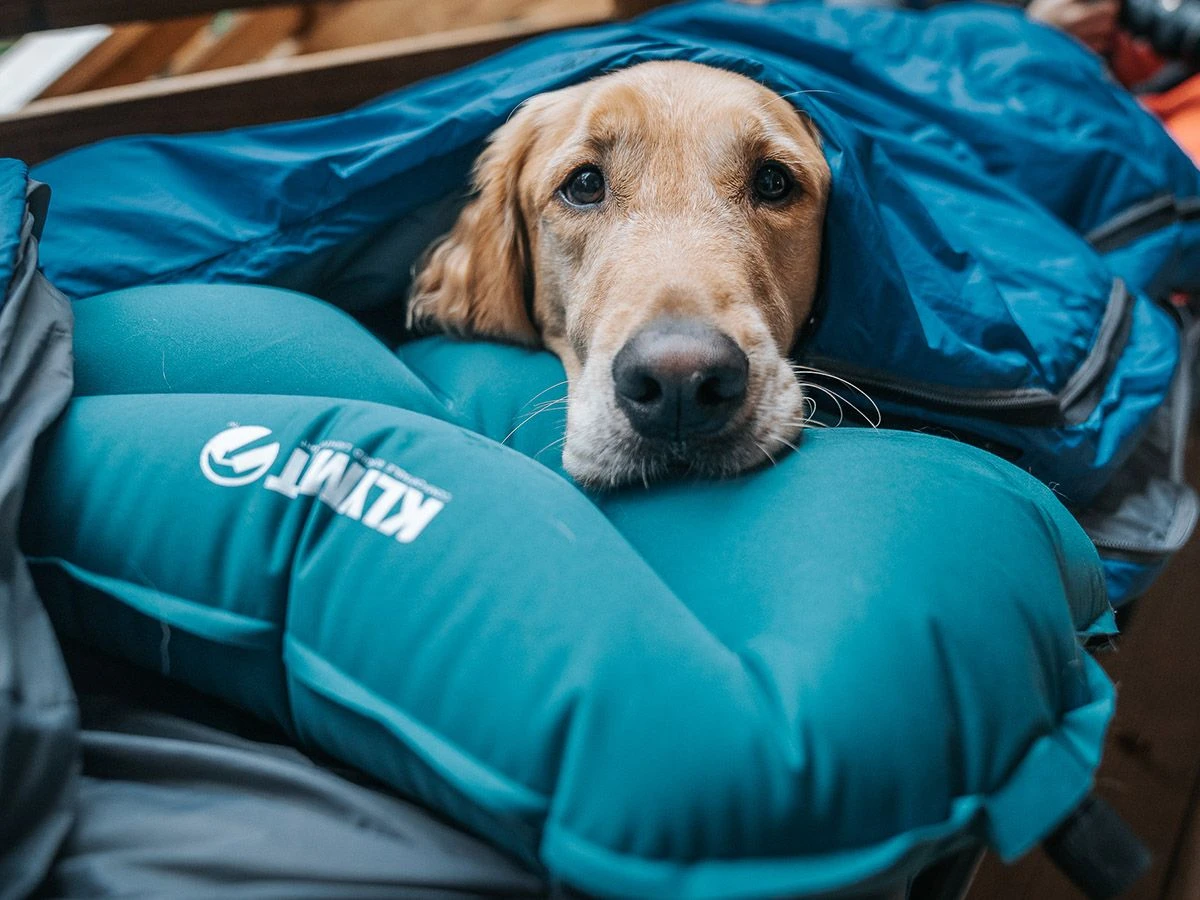 Merkloos Klymit X Large Kussen 6 Merkloos Klymit X Large Kussen - Afbeelding 6